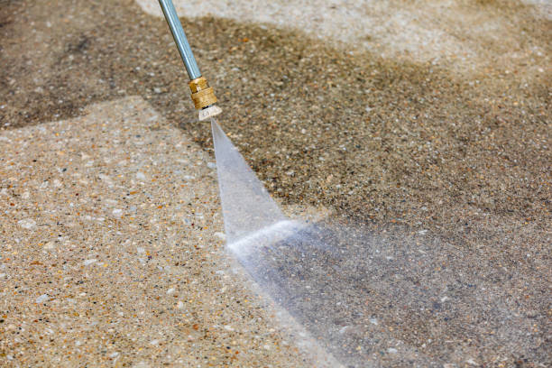 Best Sidewalk and Walkway Cleaning  in Limestone Creek, FL