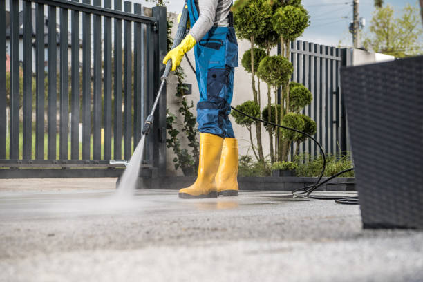 Best Driveway Pressure Washing  in Limestone Creek, FL